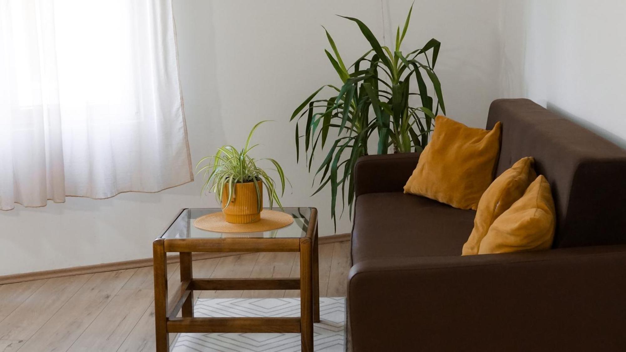 Apartmani Bubamara Leskovac Лесковац Екстериор снимка