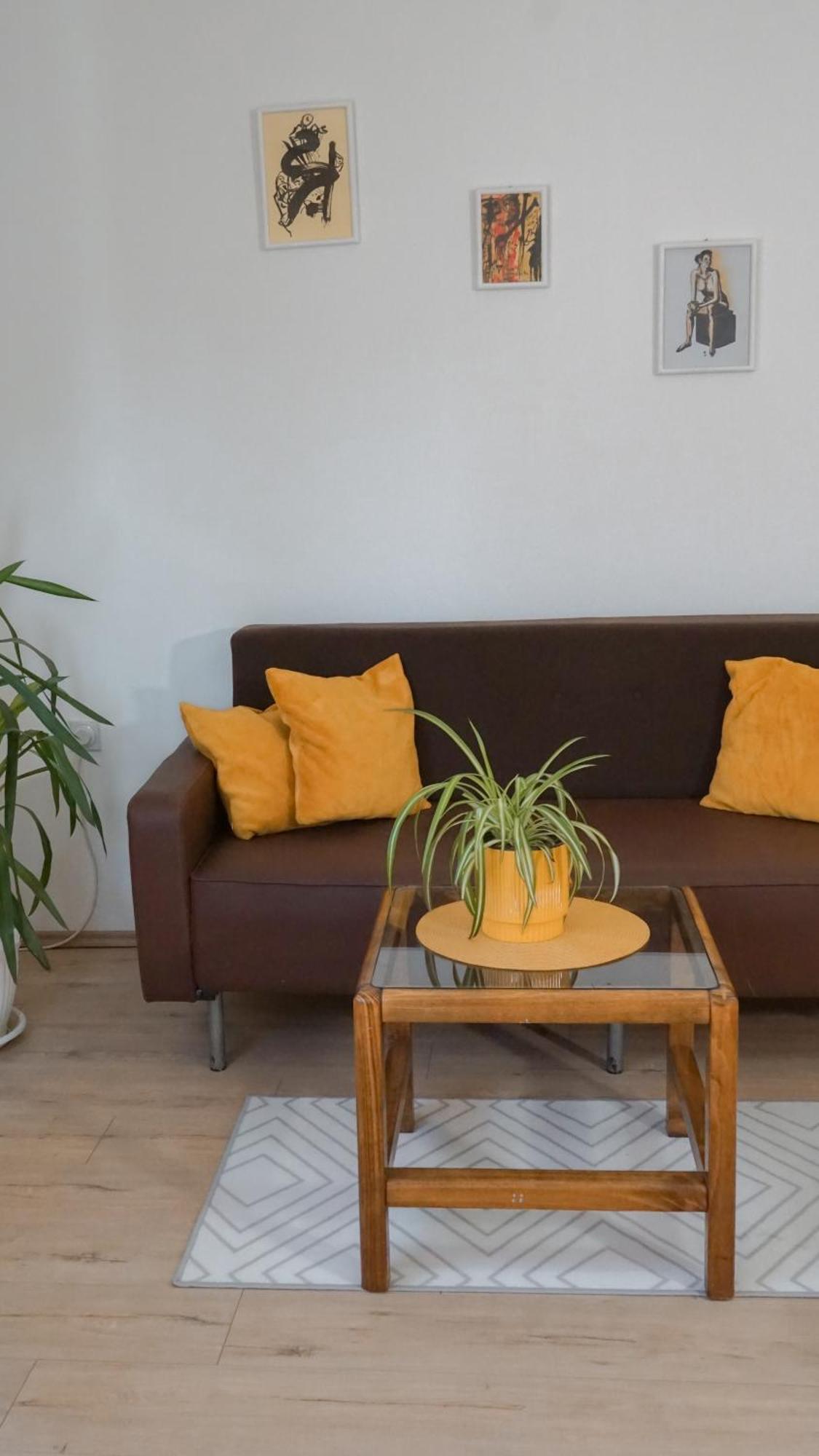 Apartmani Bubamara Leskovac Лесковац Екстериор снимка
